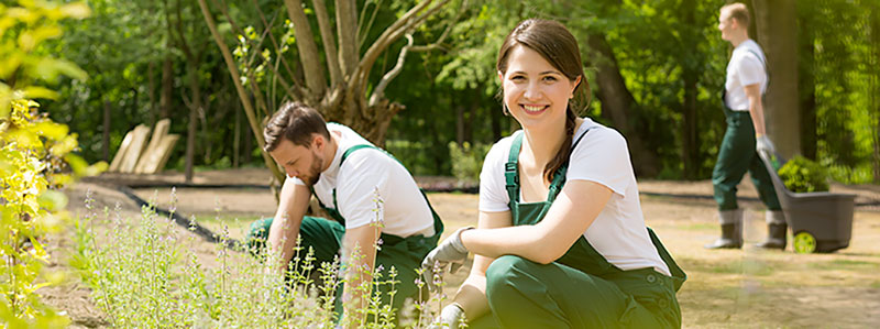 jardinier à domicile jardinier à domicile