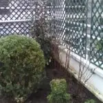 entretien d'un balcon 8