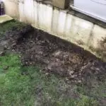 massif de terre de bruyere