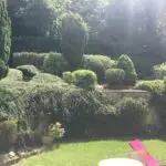 L'entretien et la remise au propre d'un jardin paysagé à Chennevières sur Marne