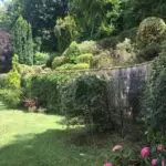 Remise au propre d'un jardin paysagé