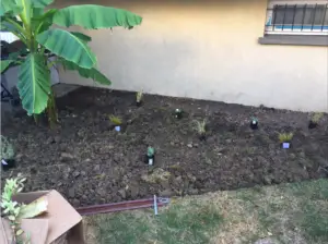 création paysagère par un jardinier professionnel