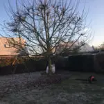 Entretien du jardin en hiver avec cmonjardinier