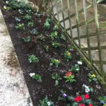 Entretien d'un jardin sur Mérobert (91)