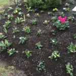 Entretien d'un jardin