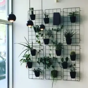 Grillage végétales Cmonjardinier