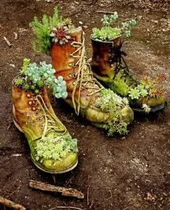 Les chaussures en guise de pot