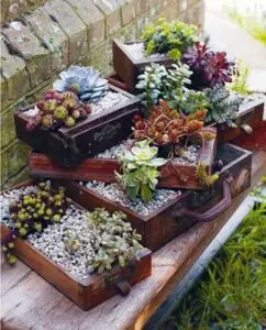 Pots de fleurs en tiroirs