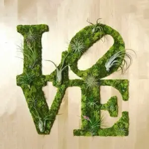 Tableau végétal idées végétales de cadeaux pour la Saint-Valentin