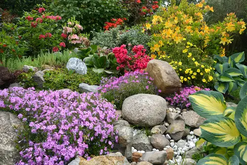 Comment aménager un jardin de montagne ?