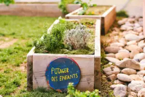Aménager un potager pour les enfants