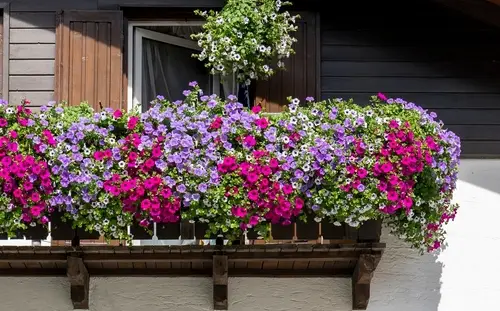 Aménager un balcon fleuri