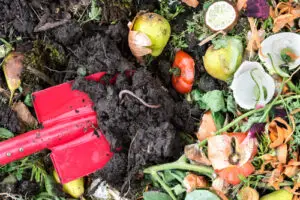 comment réaliser un bon compost ?
