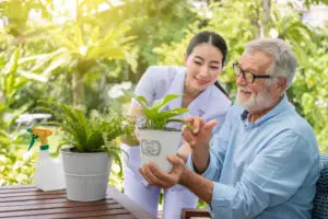 tendances en jardinage pour 2025