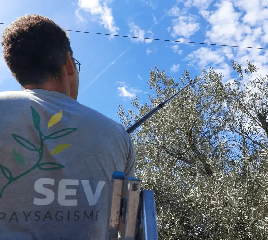 SEV Paysagiste, SEV Paysagiste, SEV paysagiste, Cmonjardinier