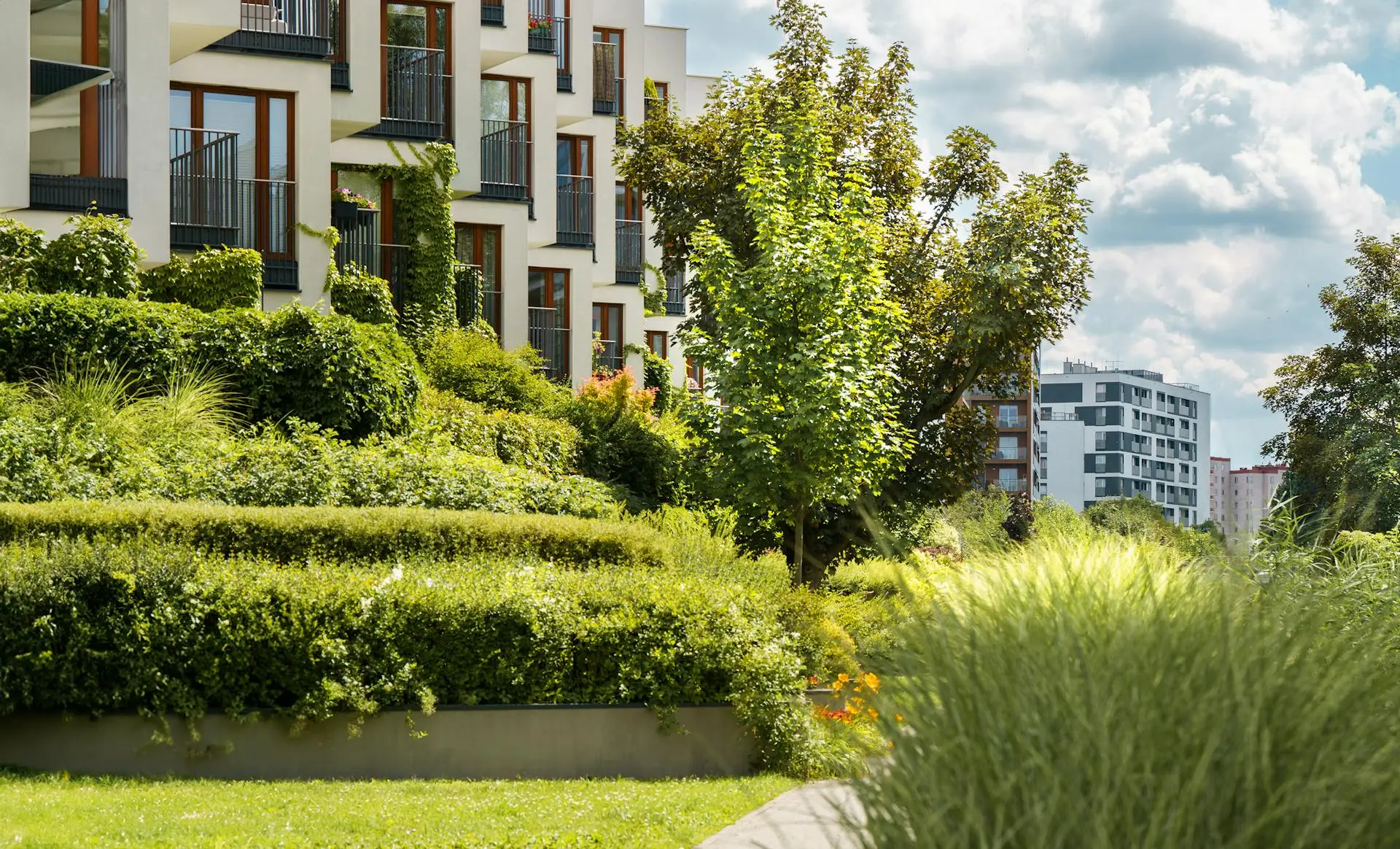 Les bonnes pratiques avant d’élaguer dans une résidence